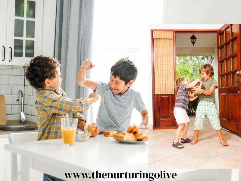 Sibling-rivalry-how-to-prevent-and-manage-sibling-rivalry-in-the-home