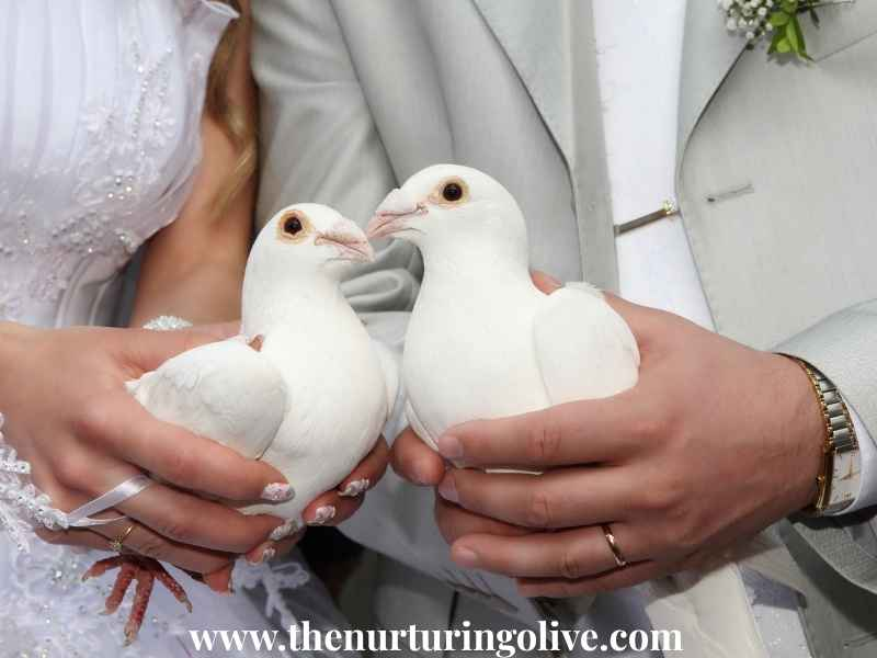Newly-weds-holding-white-doves-the-quiet-power-of-purity-that-heaven-smiles-on